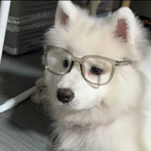 托福考冲启航阶在读学员家长