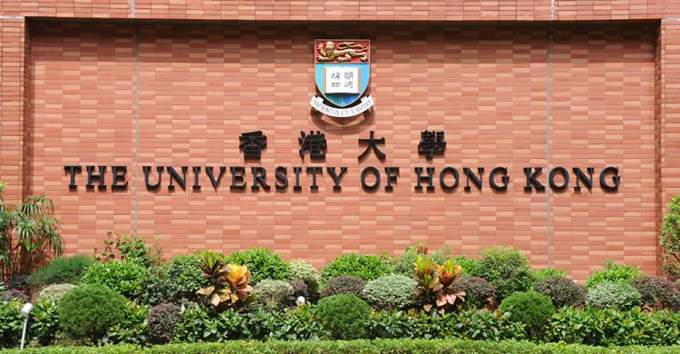 港大头图.jpg